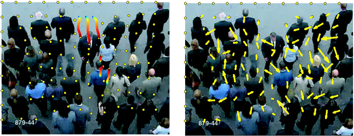 Particle Advection Example and Computed Forces