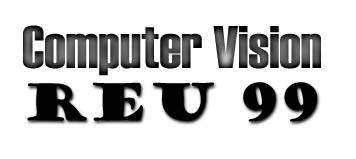 Computer Vision REU 99